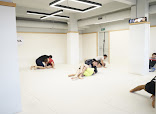 Roger Gracie Jiu Jitsu Istanbul thumb 9